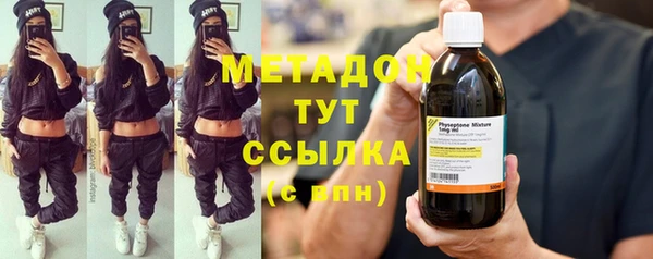 прущие грибы Аркадак