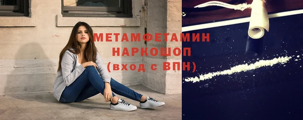 прущие грибы Аркадак