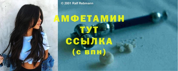 прущие грибы Аркадак