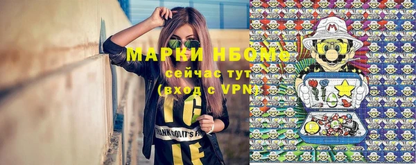 прущие грибы Аркадак