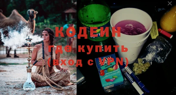 прущие грибы Аркадак