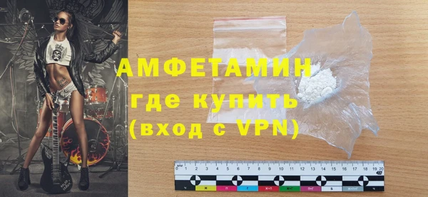прущие грибы Аркадак