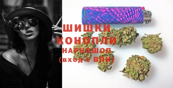 прущие грибы Аркадак