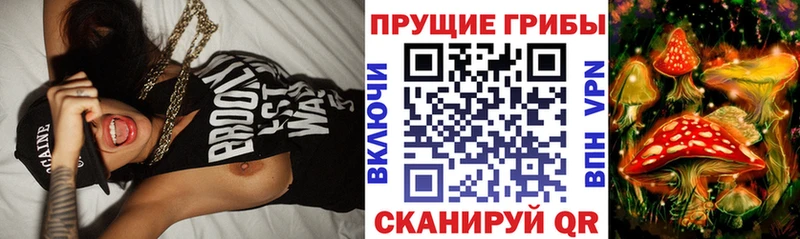 наркошоп  Саянск  Псилоцибиновые грибы Psilocybe 